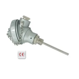 Excel RTD Assembly with Screw/Flange Connection product image