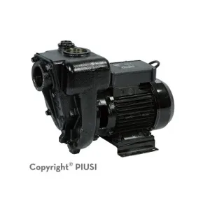 PIUSI E300 Transfer Pump product image